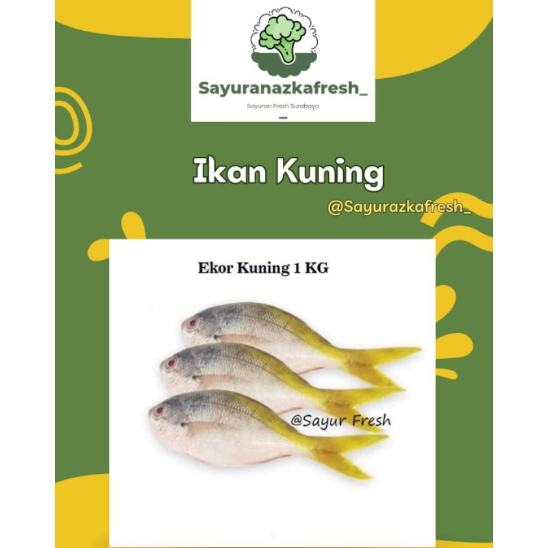 

ikan kuning ±1kg