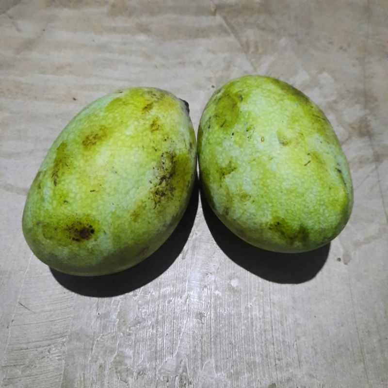 

mangga muda 1kg