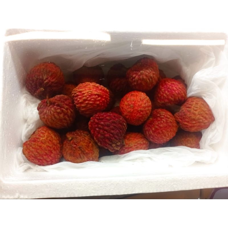 

BUAH LYCHE RED SUPER PREMIUM GIFT BOX IMPORT