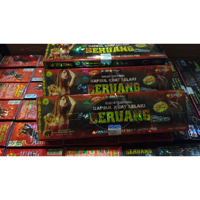 BERUANG HITAM KAPSUL