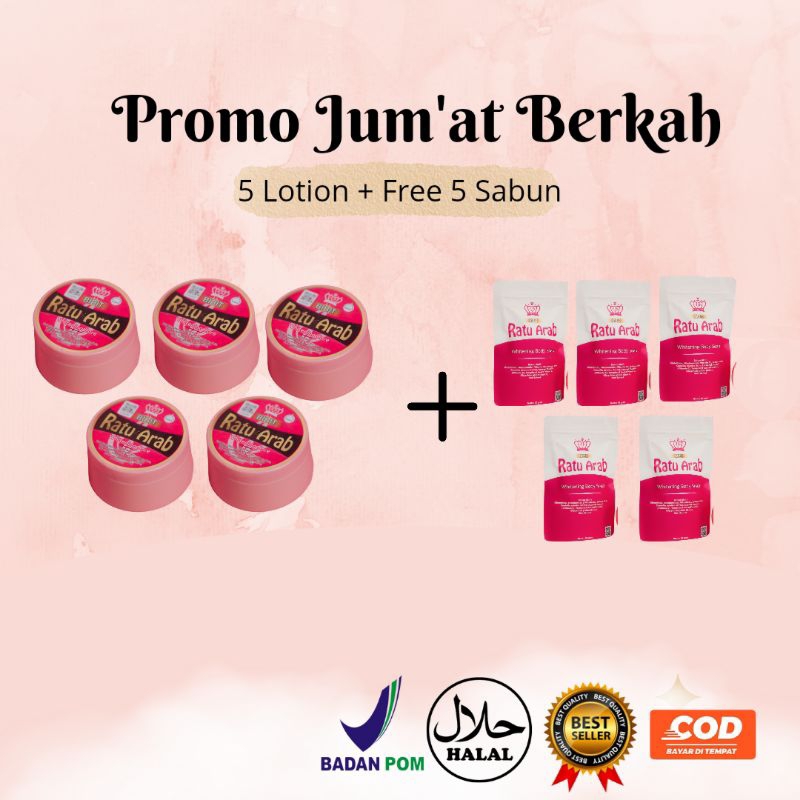 Bibit Ratu Arab // paket Agen