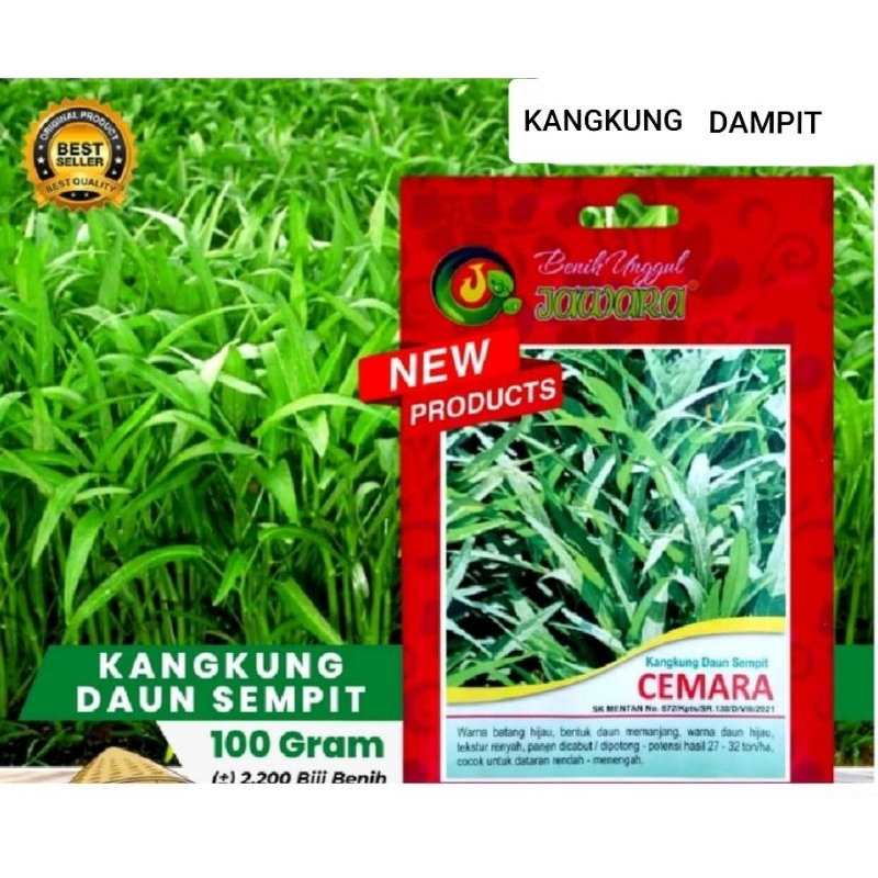 

BENIH UNGGUL KANGKUNG DAUN SEMPIT CEMARA 100 GRAM