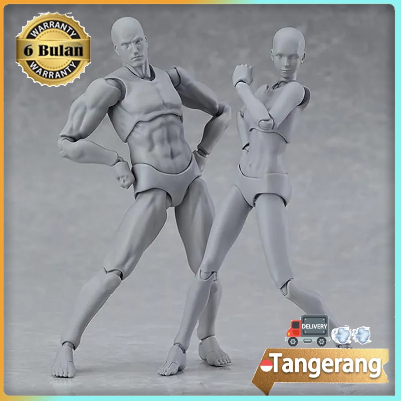 Figuart Body Kun / SHF Body Kun / Action Figure Model Body Chan DX Set Gray Color Male Female