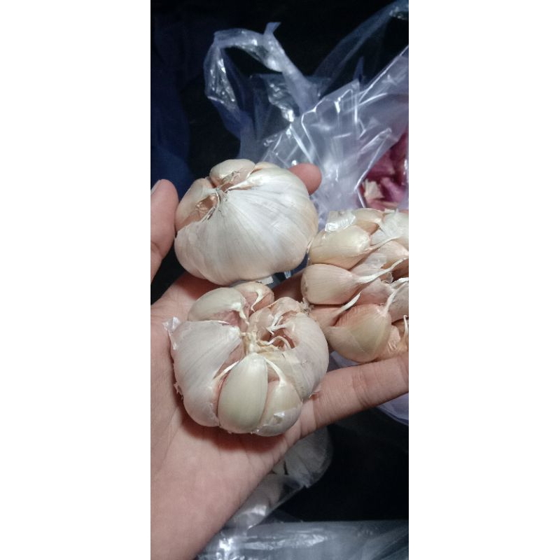 

BAWANG PUTIH 250GRAM