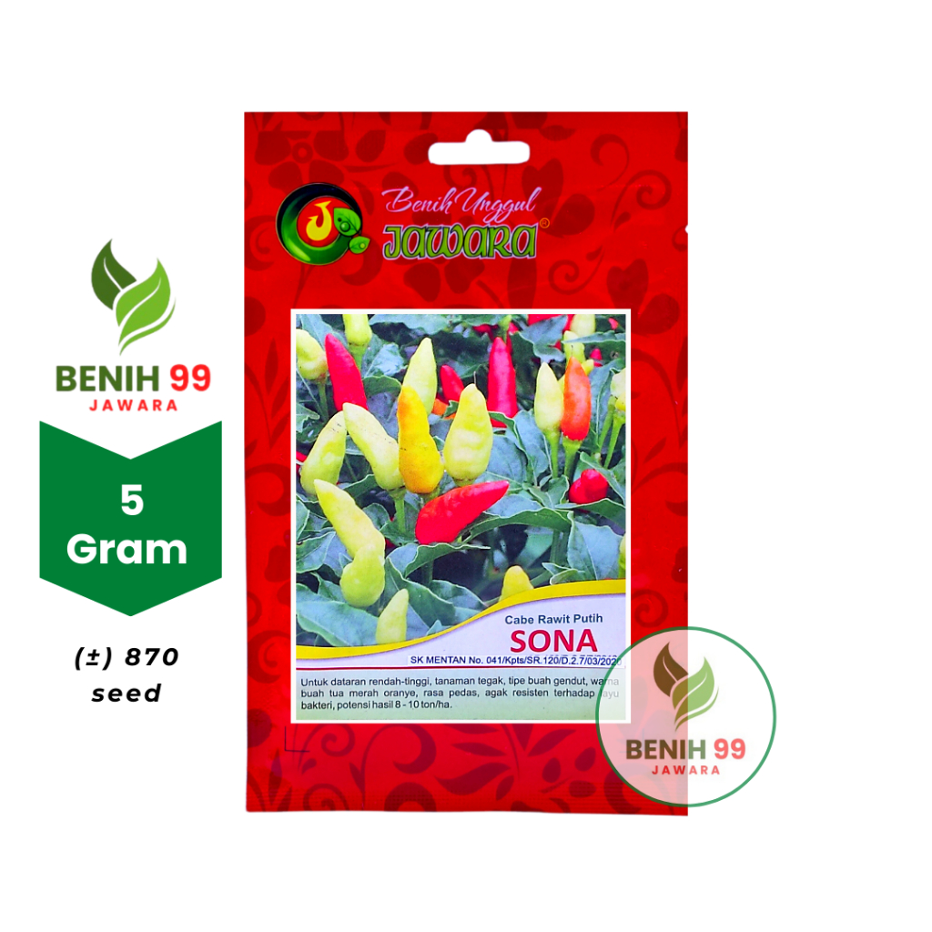 Benih Cabe rawit putih SONA JAWARA