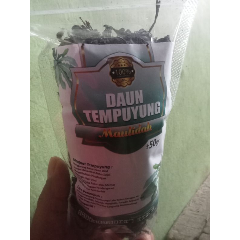 

Teh herbal Daun Tempuyung 50 gram