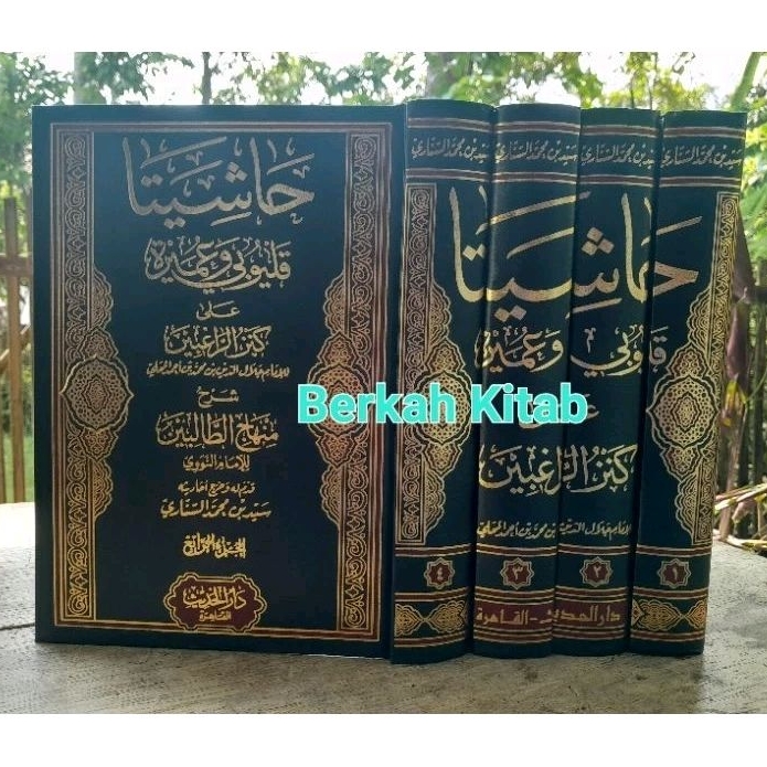 HASYIYAH QULYUBI WA UMAIROH DAR HADIST 4 JILID Qulyubi Darul Hadist Mahalli