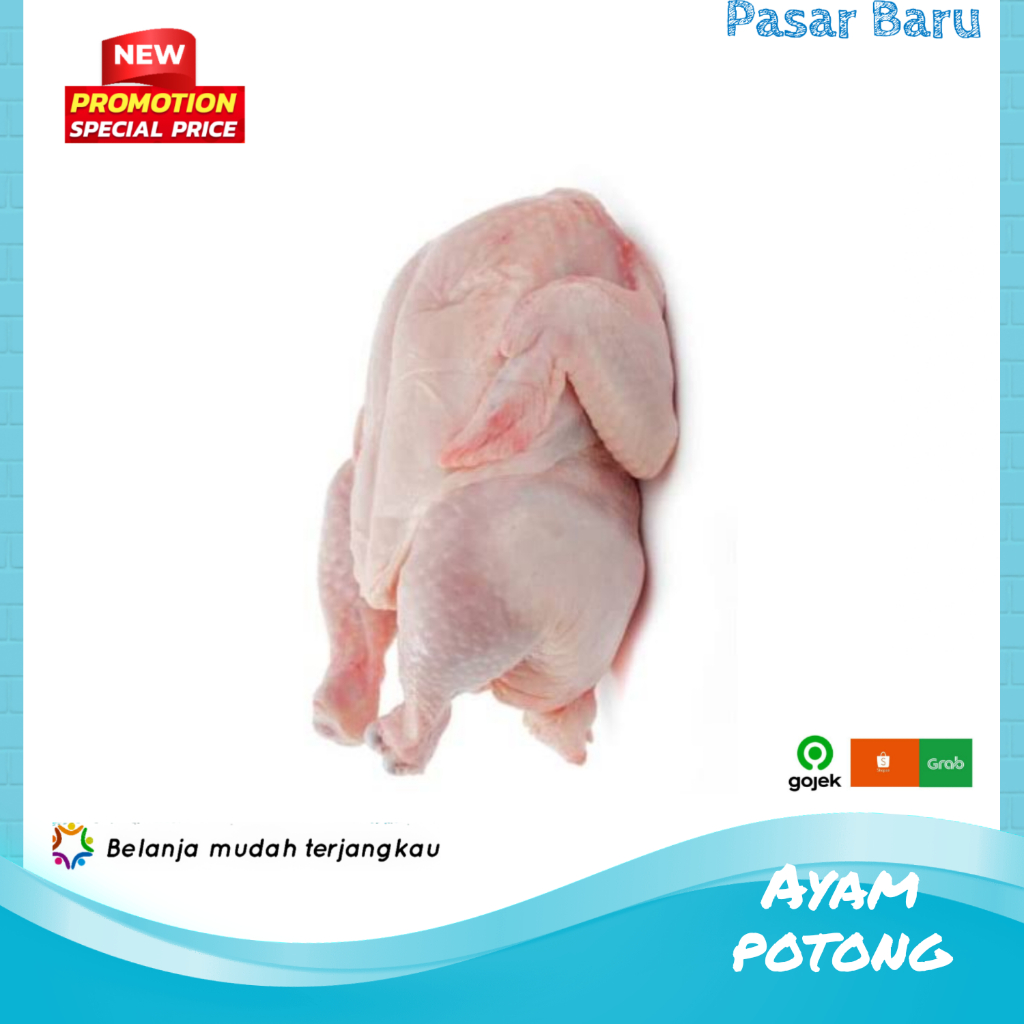 

Ayam Utuh • 1Ekor ✓ Murah | Pasar Baru Makassar