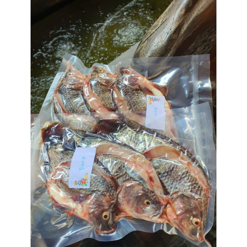 

Ikan Nila Siap Goreng 500 gram