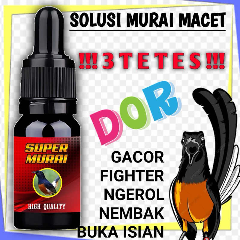 Vitamin Gacor Burung Murai Harian lomba Ternak Fighter Buka Isian Volume Tembus Kristal