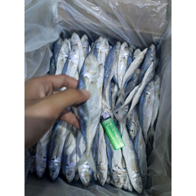 

IKAN ASIN PEDA LAYANG KERING 250GR