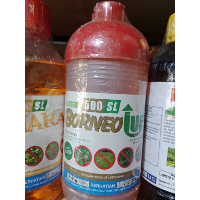 Borneo up 500SL 1 Liter herbisida sistemik