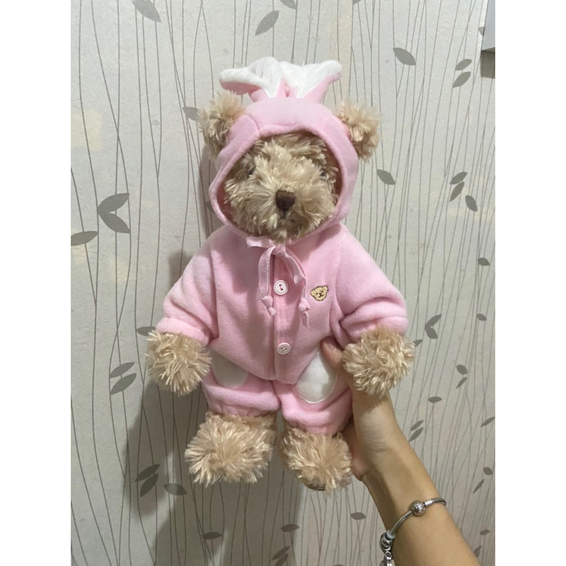 BONEKA TEDDY HOUSE ORIGINAL (SET dgn BAJU)