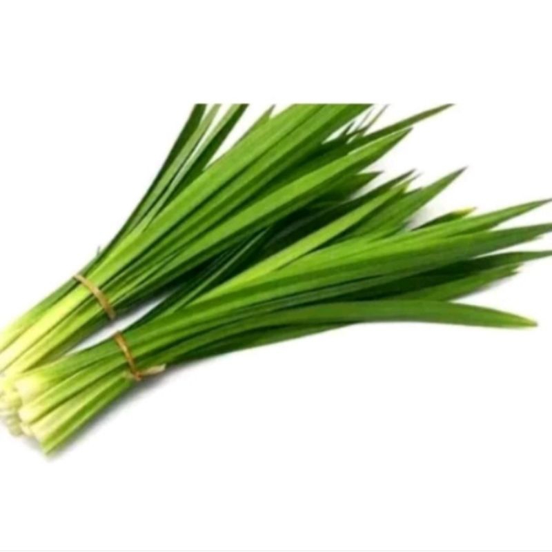 

daun pandan segar 10 lembar