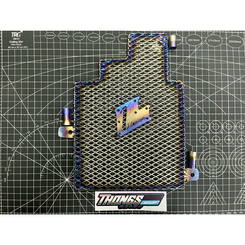 COVER RADIATOR TITANIUM Ptaispeed VARIO 160 PCX 160