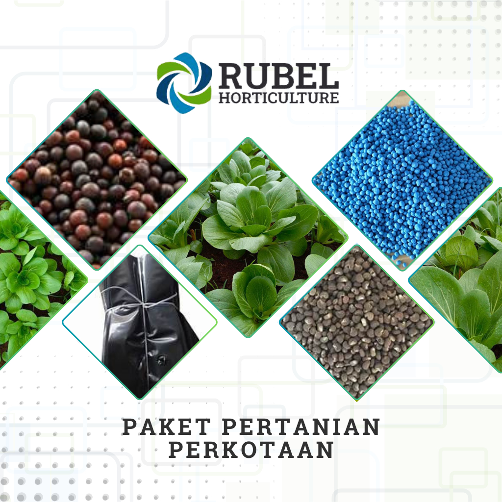 

Paket Pertanian Perkotaan - Paket Lengkap Siap Berkebun/Bertani Di Daerah Perkotaan Atau Lahan Sempit- Benih Pakcoy Unggul - RUBEL HORTIKULTURE