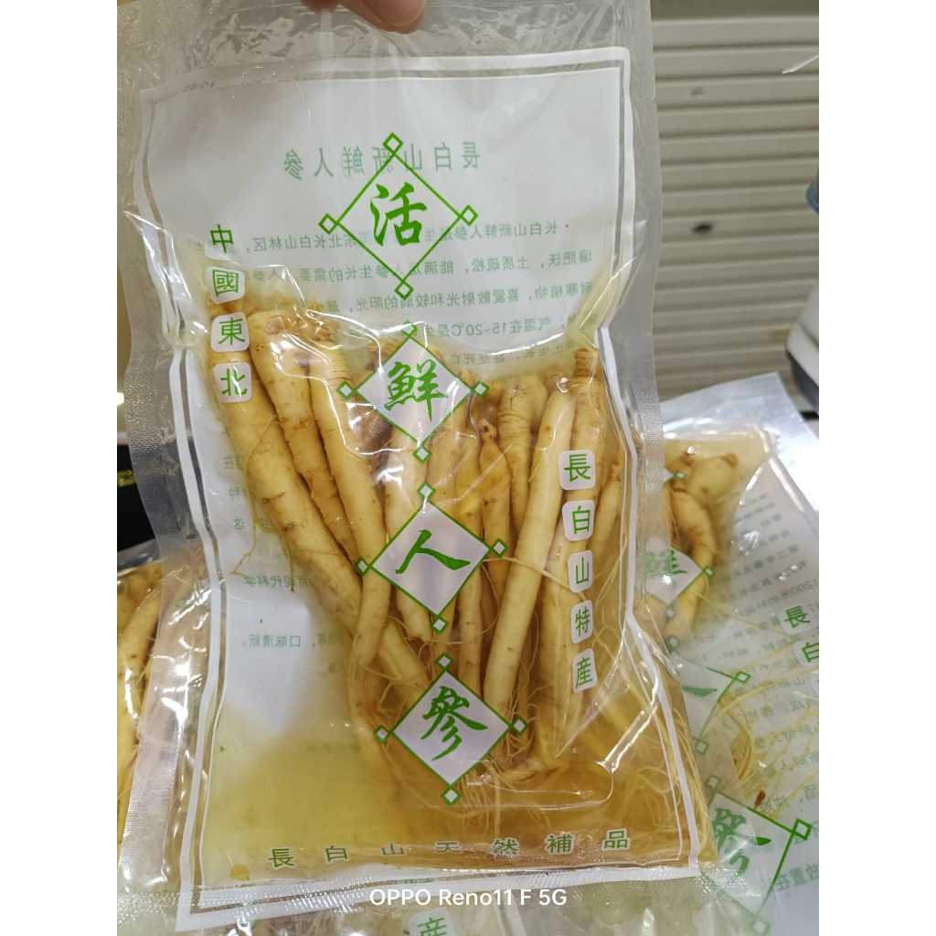 

JKL FRESH GINSENG / GINSENG BASAH / GINSENG SEGAR KECIL 1 pax (10-15 pcs)