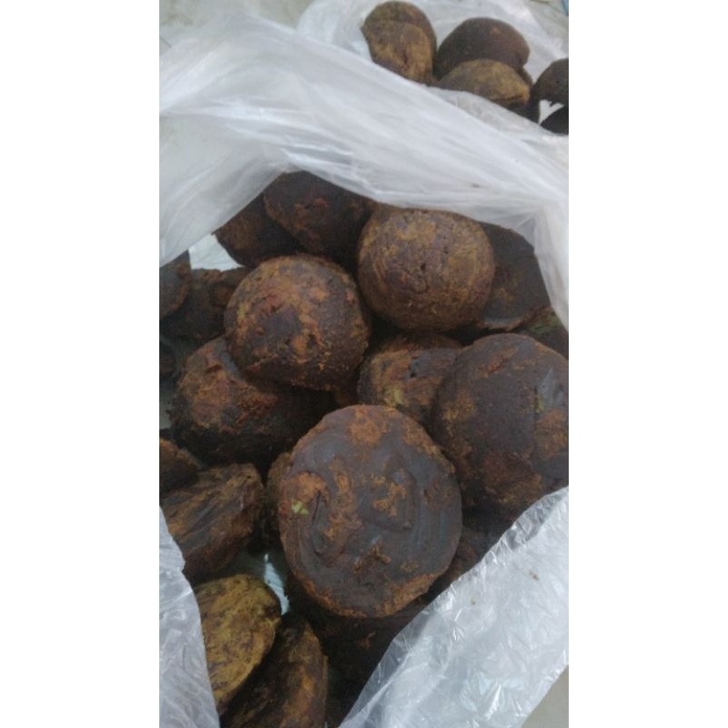 

Gula Aren Batok Curup Bengkulu