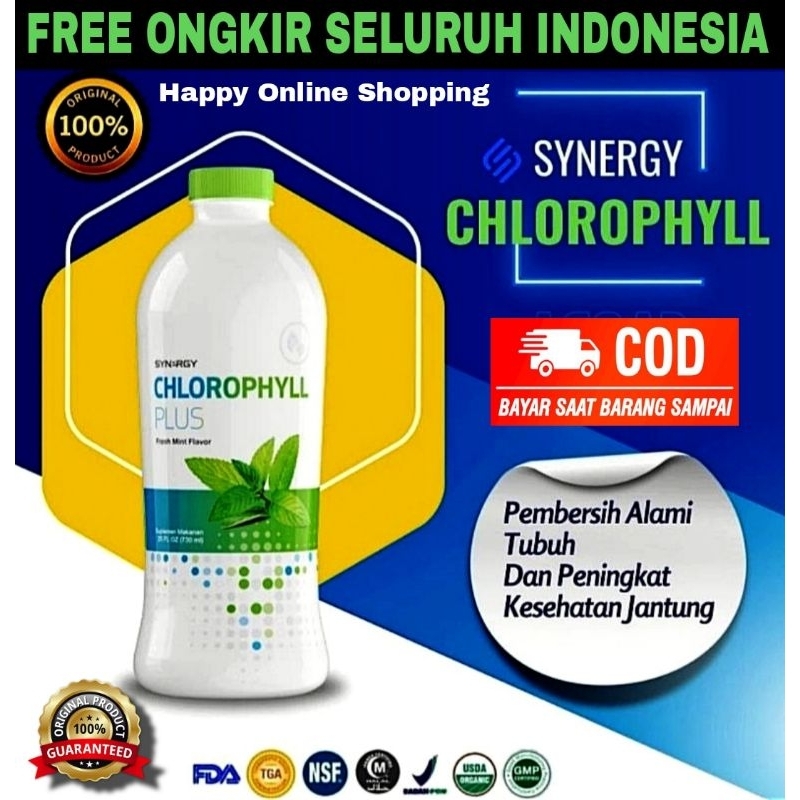 Suplemen Kesehatan Klorofil Liquid Chloropyl 730 ml - ORIGINAL USA