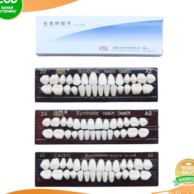 Murah FREE BUBBLE  GIGI PALSU SYNTHETIC RESIN TEETH  Gigi Tiruan Sintetis Posterior Anterior  Gigi D
