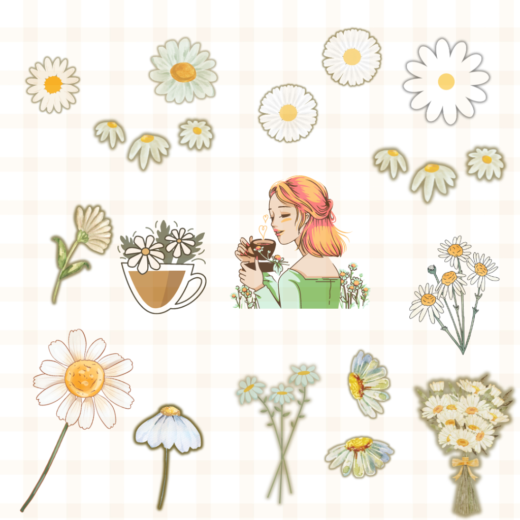 

Stiker transparan chamomile