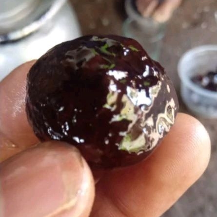 muncang adu Yanti Bulat /asli garut