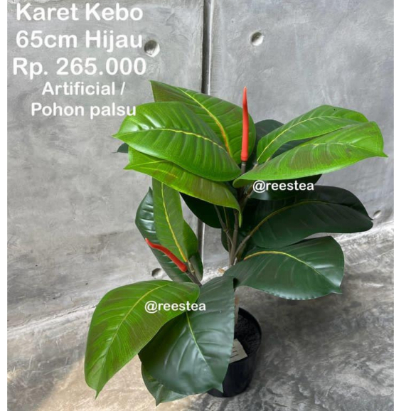 Pohon Karet Kebo Tinggi 65cm / Artificial Plant / Pohon Hias Palsu