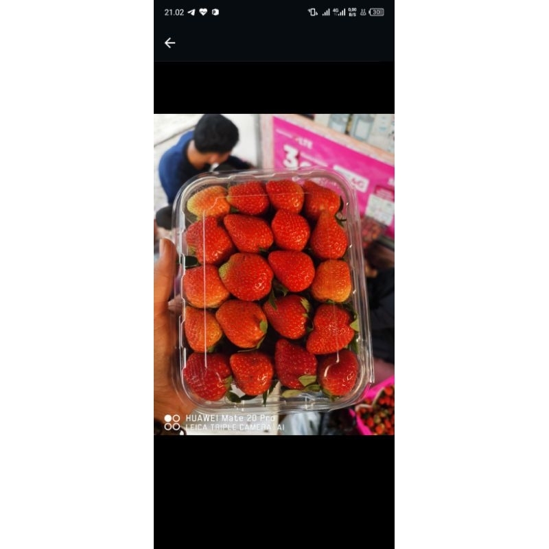 

STROBERI FRESH LOKAL MIKA 500Gr Grade A-AB