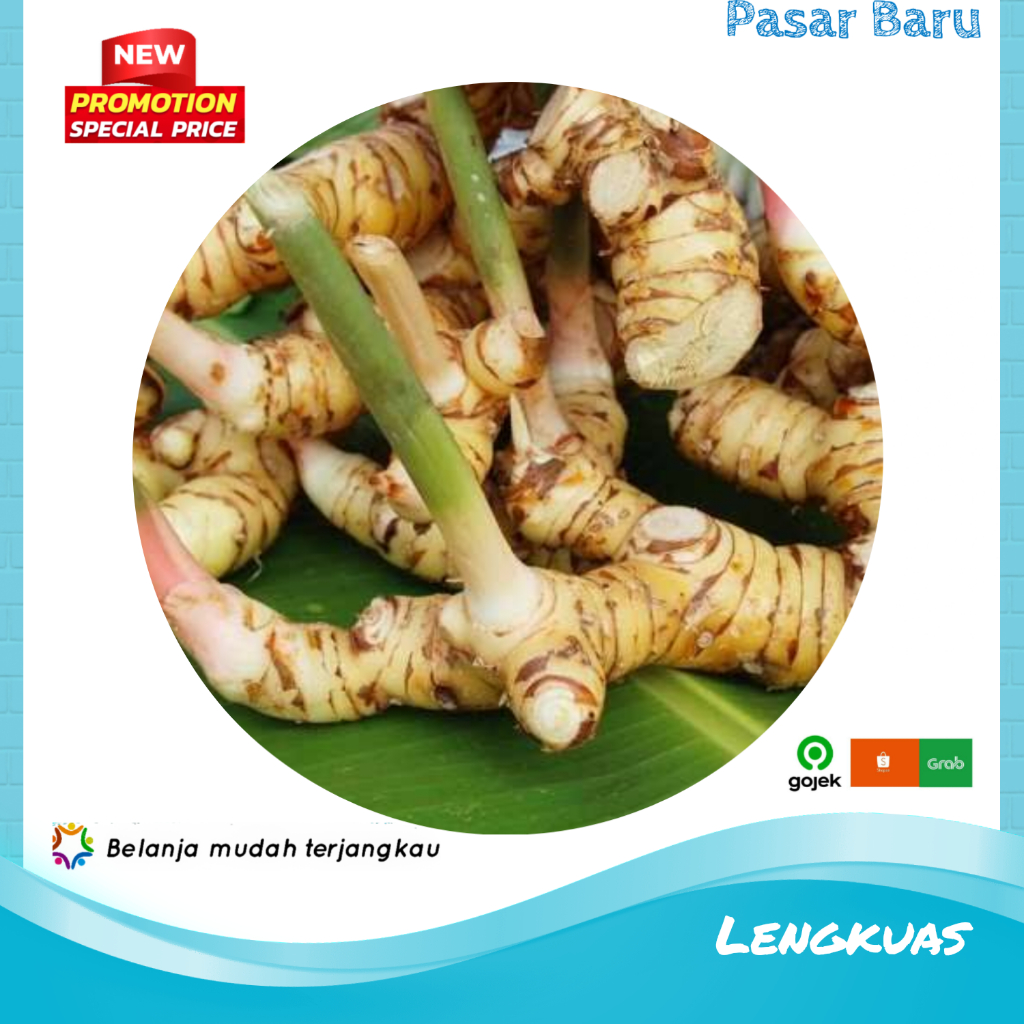 

Lengkuas • Murah | Pasar Baru Makassar