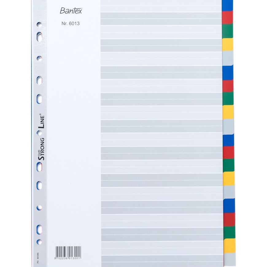 

Unggul Bantex PP Colour Divider A4 2 pages 613