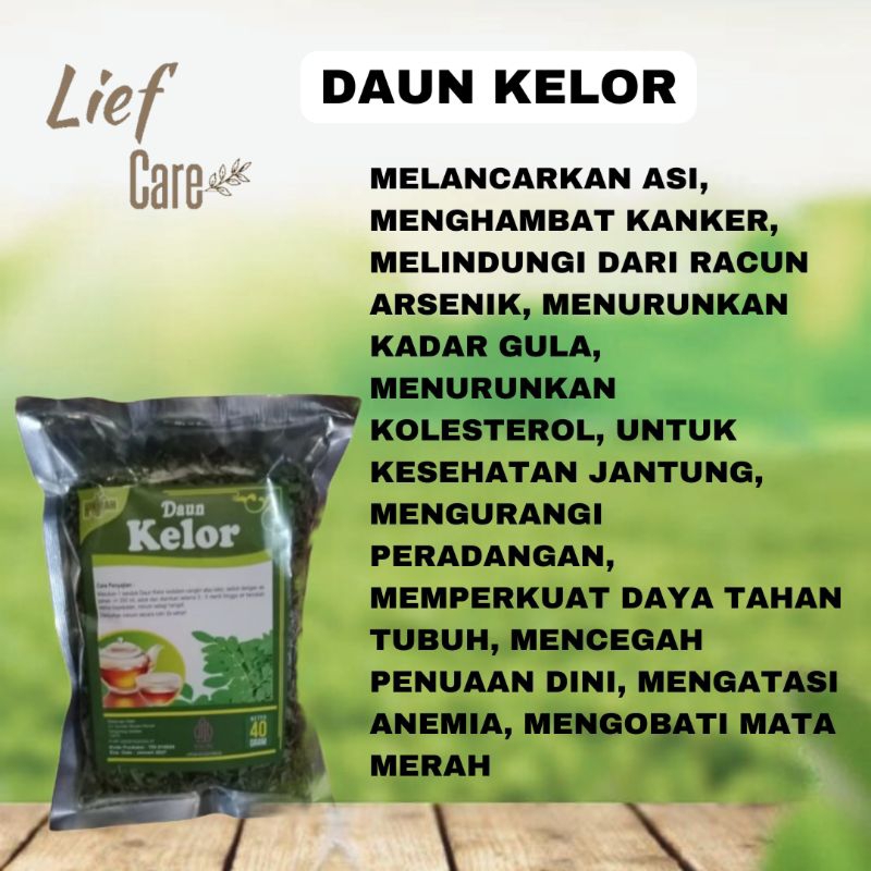 

TEH DAUN KELOR UNTUK MENINGKATKAN PRODUKSI ASI MENCEGAH PENUAAN DINI MENGHAMBAT PERTUMBUHAN KANKER MENURUNKAN KOLESTEROL MENJAGA KESEHATAN JANTUNG MENGURANGI PERADANGAN