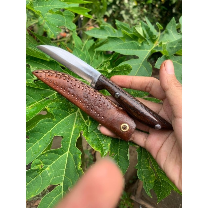 pisau grafting , pisau okulasi  cangkok bonsai ,seset /serut taji ayam multifungsi PB:9cm