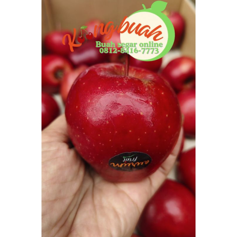 

Apple Red Dell Italy