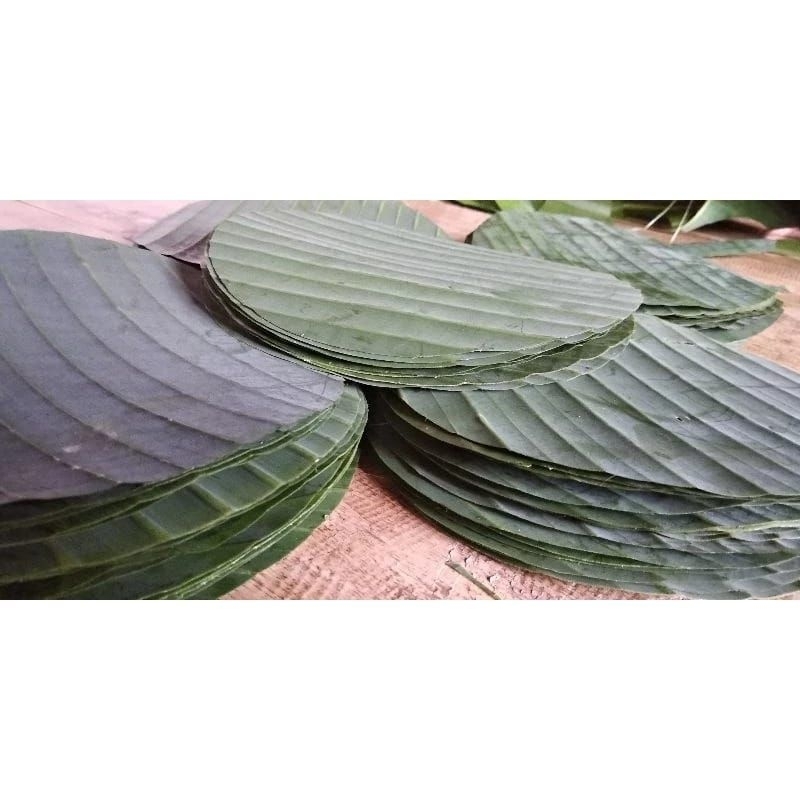 

Daun pisang bulat