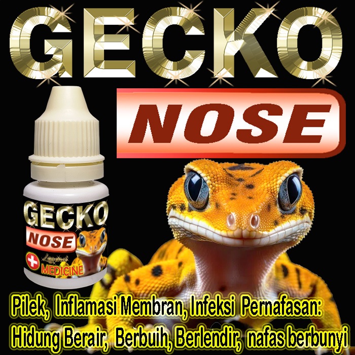 GECKO NOSE MENGOBATI PILEK HIDUNG BERAIR BERLENDIR BERBUIH OBAT PENYAKIT INFEKSI PERNAPASAN REPTILE 