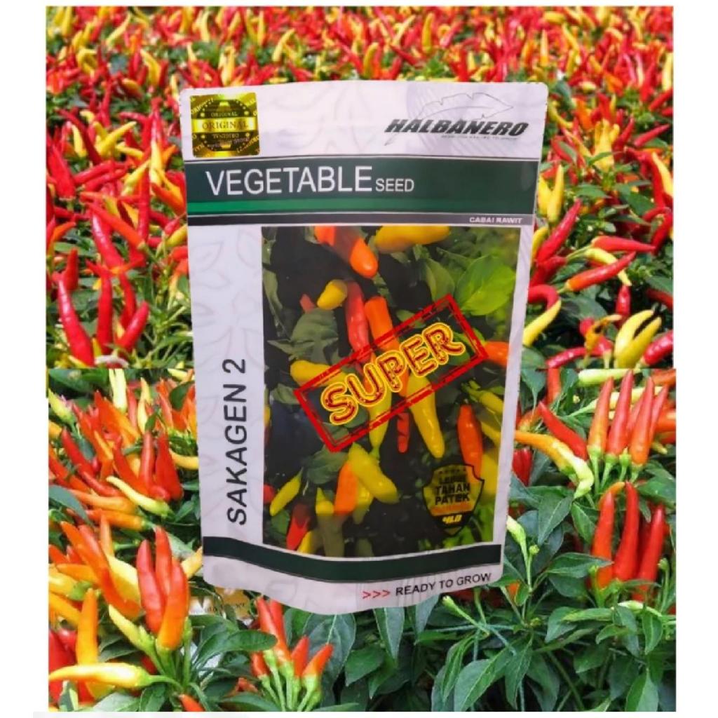 BENIH CABE ANTI PATEK SAKAGEN SUPER ANTI KERITING VIRUS PENYAKIT HOLOGRAM EMAS GARANSI