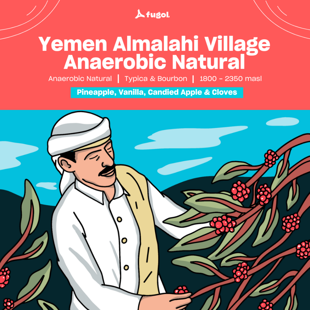 

Yemen Almalahi Village Anaerobic Natural Specialty Arabica Coffee