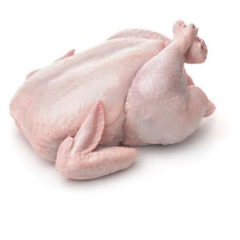 

ayam broiler utuh 1kg
