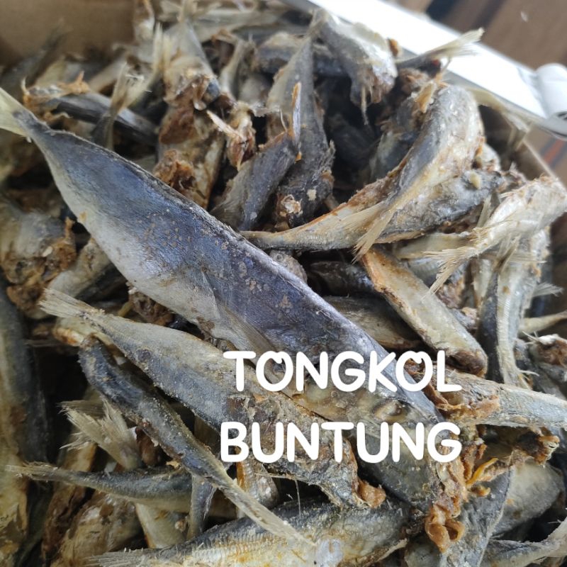 

ikan asin tongkol buntung
