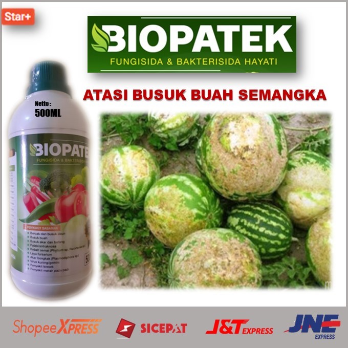 Harga Promo Pupuk Atasi Busuk Buah Semangka Terbukti Secara Ampuh – Pupuk Cair Biopatek Fungisida & 