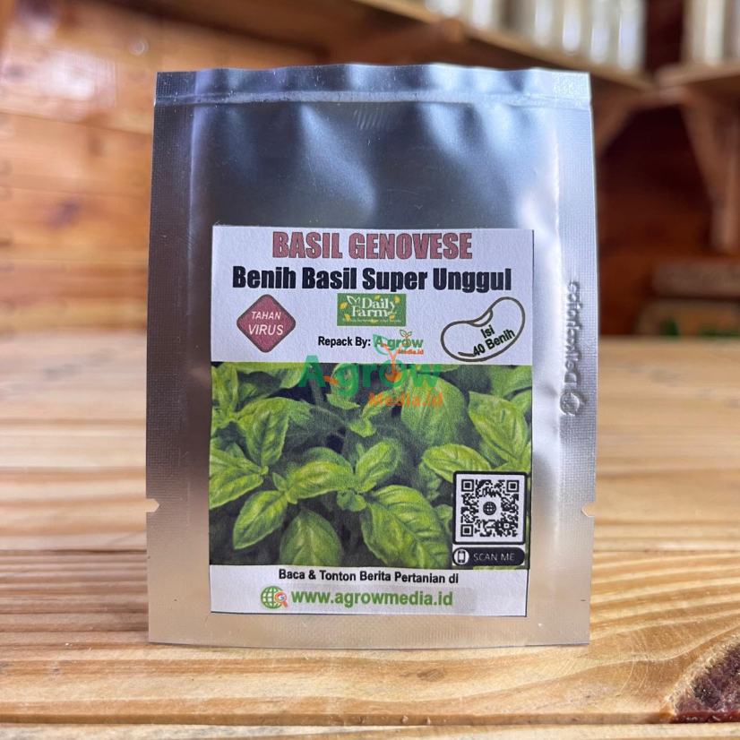 Benih Tanaman Basil BASIL GENOVESE Isi 40 Bibit Biji Tahan Virus Super Unggul Repack Daily Farm