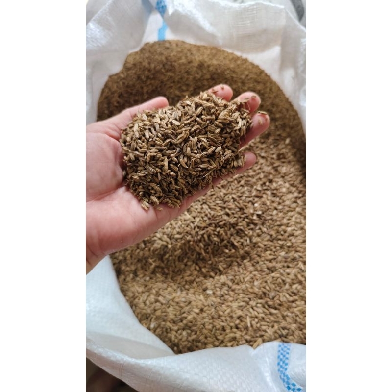 

Adas Manis | Fennel Seed | Bersih Premium Quality 1kilogram