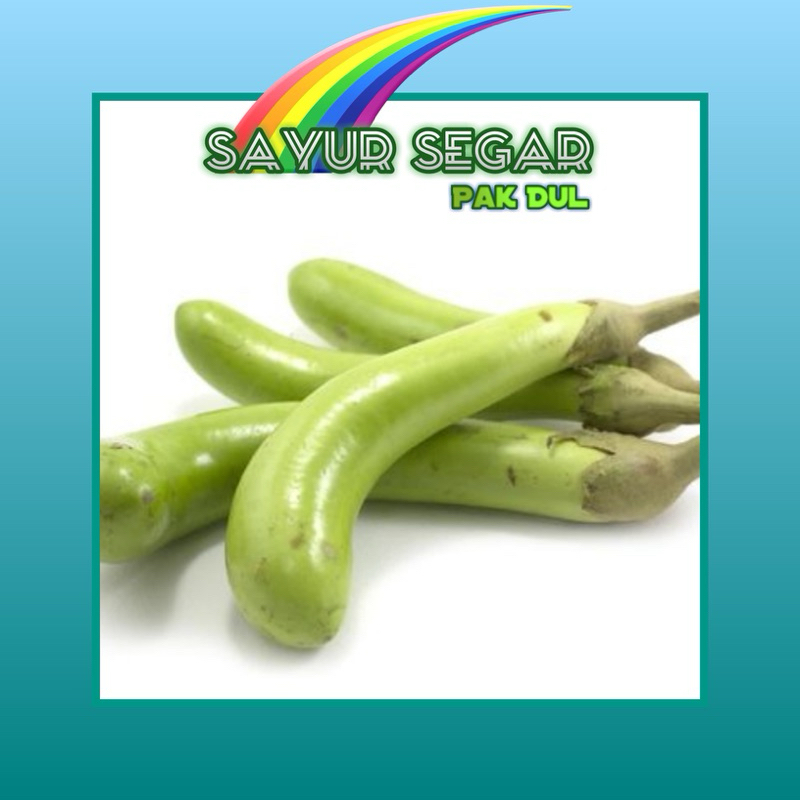 

Terong Hijau +- 250 / 500 gr