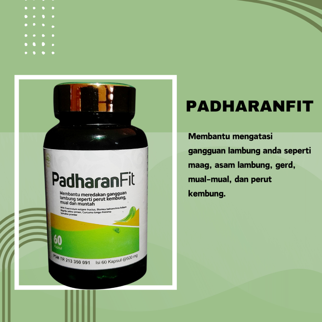 PADHARANFIT OBAT LAMBUNG HERBAL | SS JAYA GROUP/By ssjayagrup