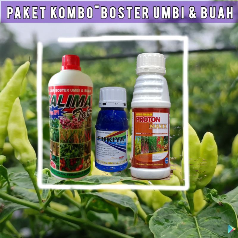 KOMBO( KALIMAX FUKIYA Paket Pupuk dan ZPT Kalimax Fukiya Protonmax Memperbanyak Bunga dan Hasil Pane