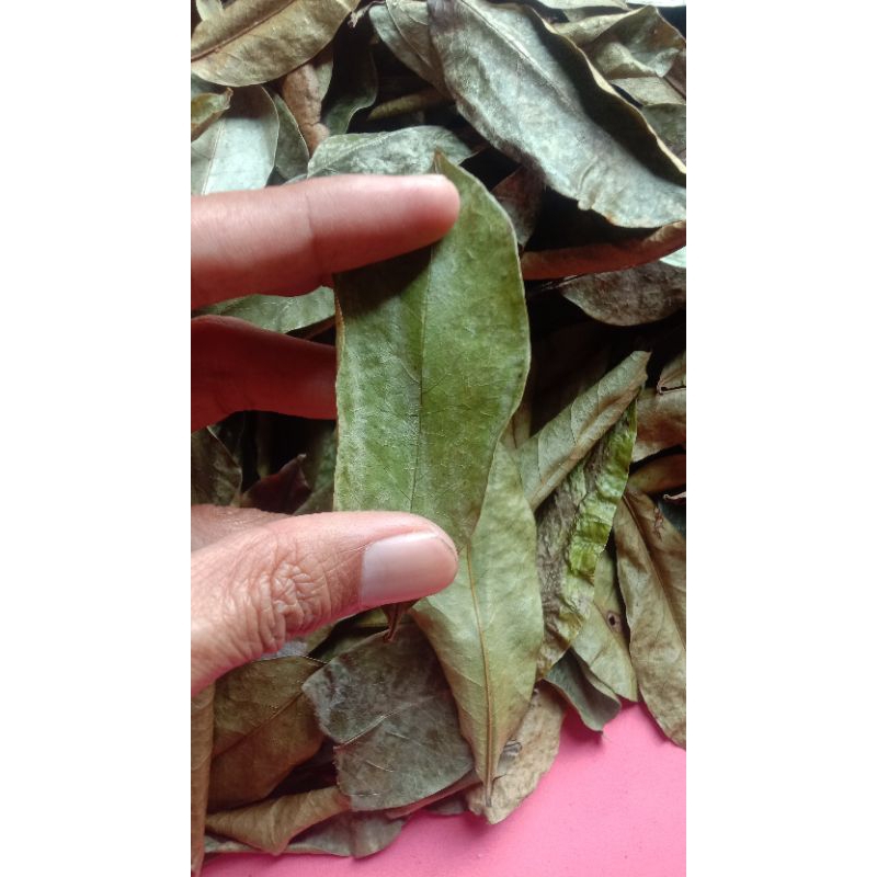 

Daun Sirsak Kering Hijau ukuran kecil