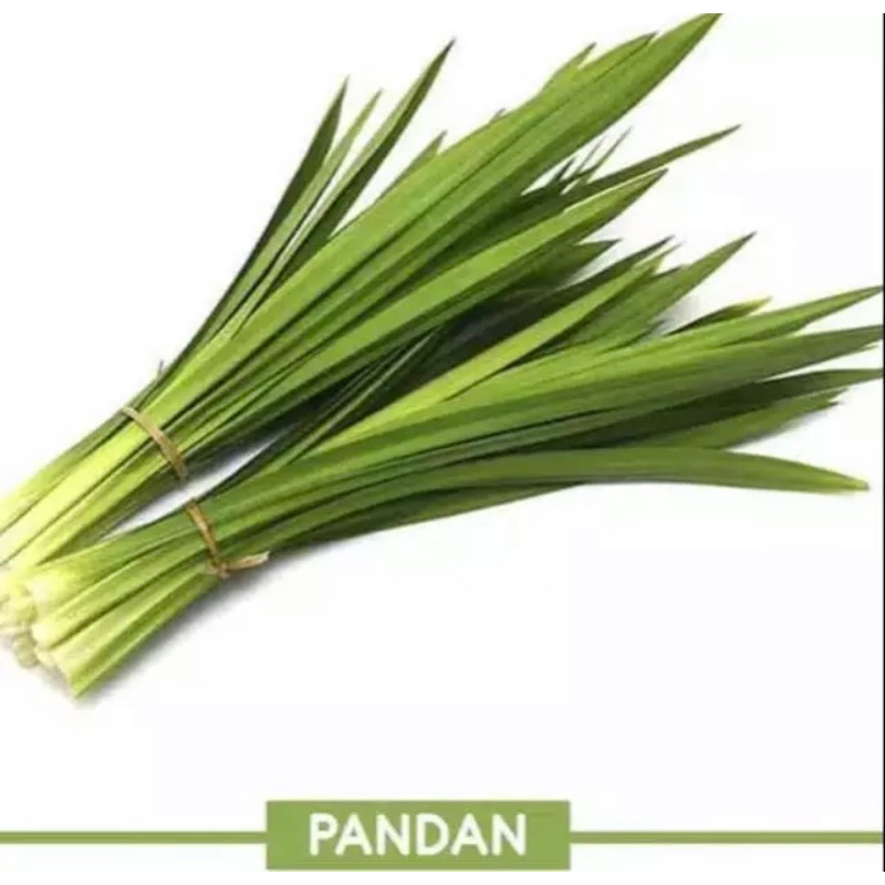 

(Fresh) Daun Pandan Wangi 50 gr