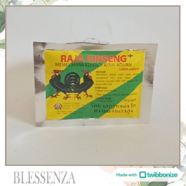 RAJA GINSENG CAPSULE - OBAT VITAMIN PERKUAT IMUN AYAM ADUAN