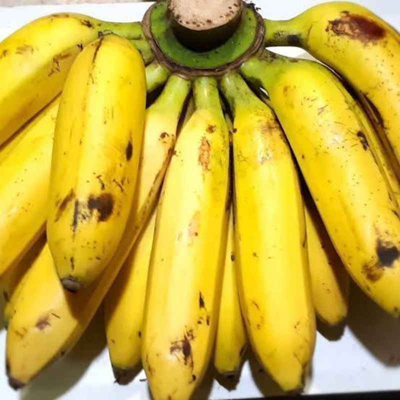 pisang uli 1 sisir