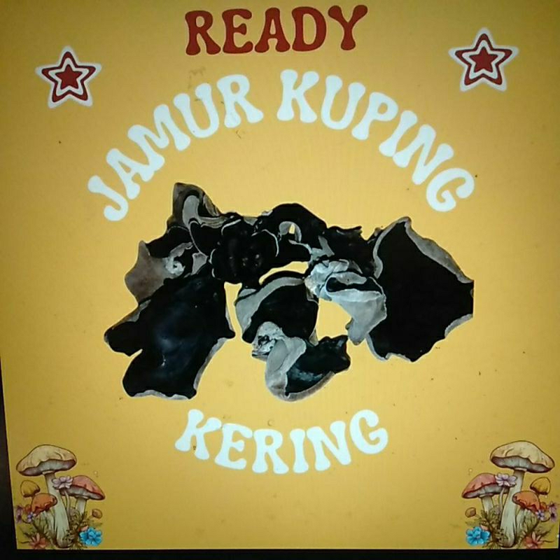 

Jamur Kuping Kering Fresh dan Berkualitas dari Petani Langsung Ready kualitas B